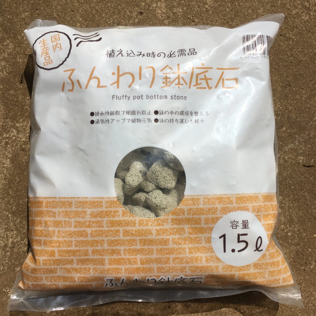 ベランダ菜園初心者でも簡単に葉ネギ栽培を100均の道具で始める方法