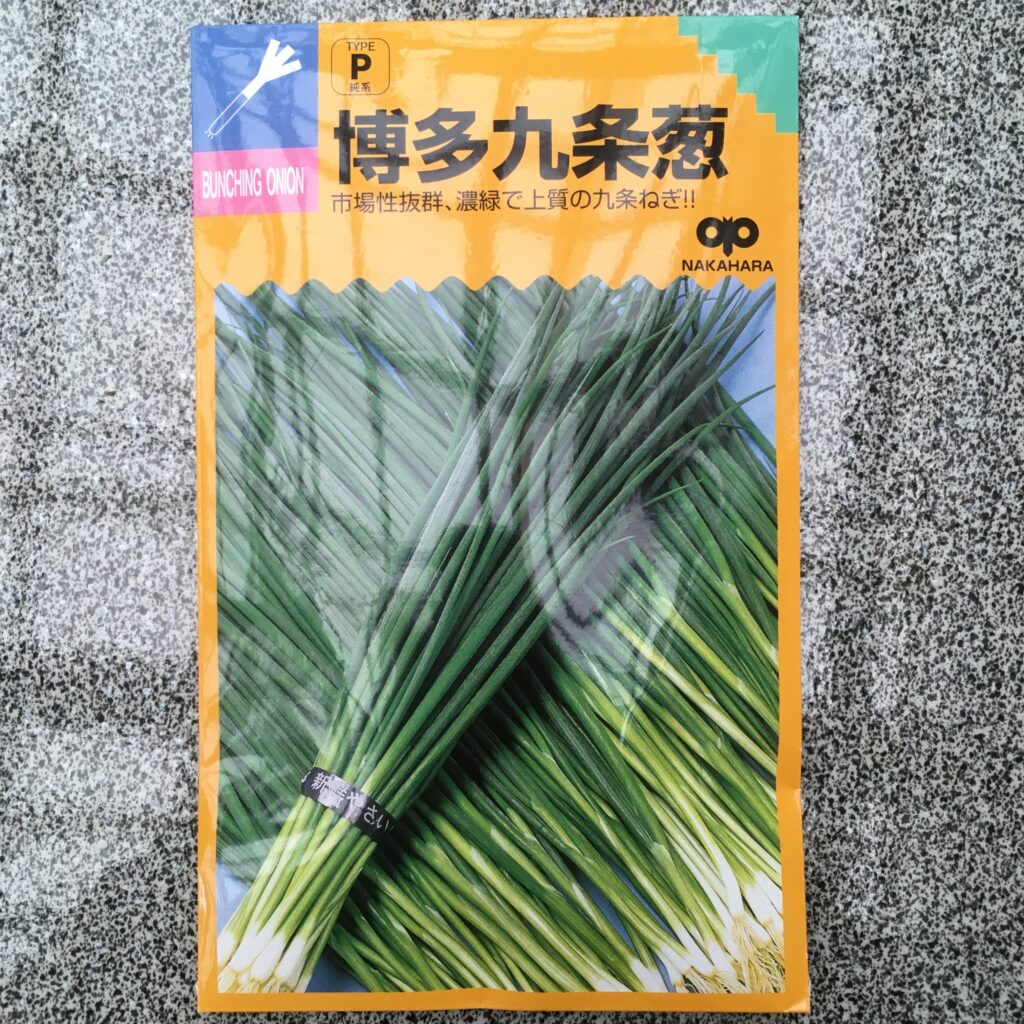 ベランダ菜園初心者でも簡単に葉ネギ栽培を100均の道具で始める方法