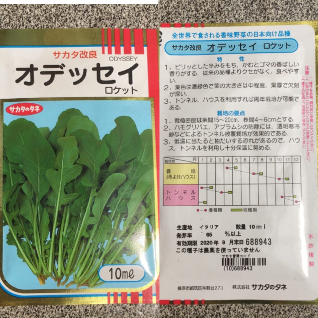 ルッコラの失敗しない育て方まとめ 農家が教えるプランター栽培 Vege Rhythm