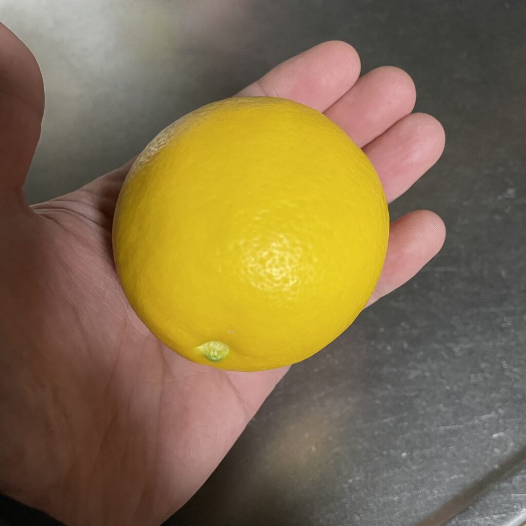 レモン２個目収穫【１１月２９日】